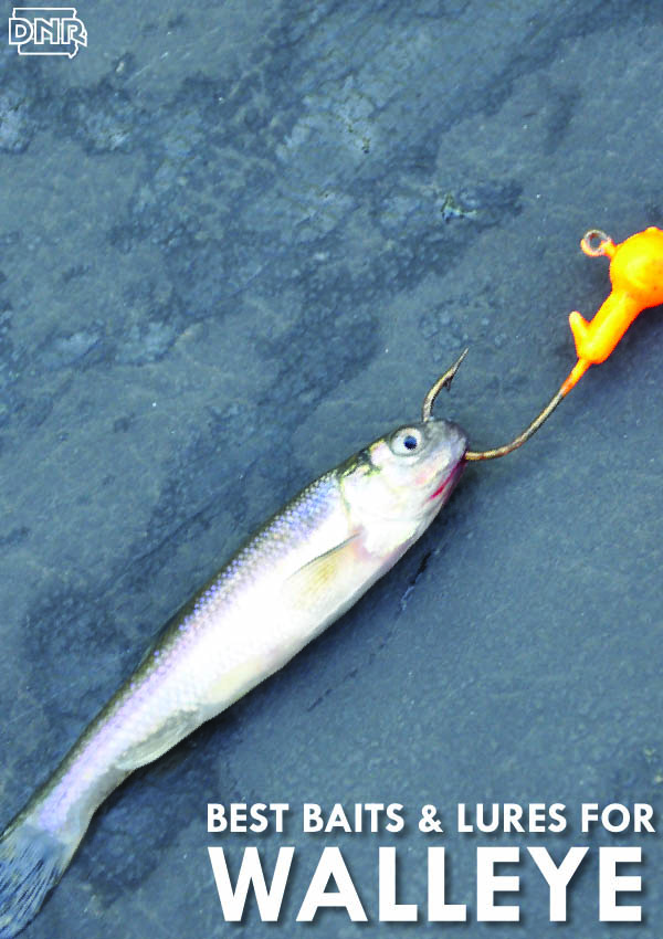 Use a lead-head jig and minnow to catch awesome Iowa walleye - plus three other lures walleye can't resist | Iowa DNR